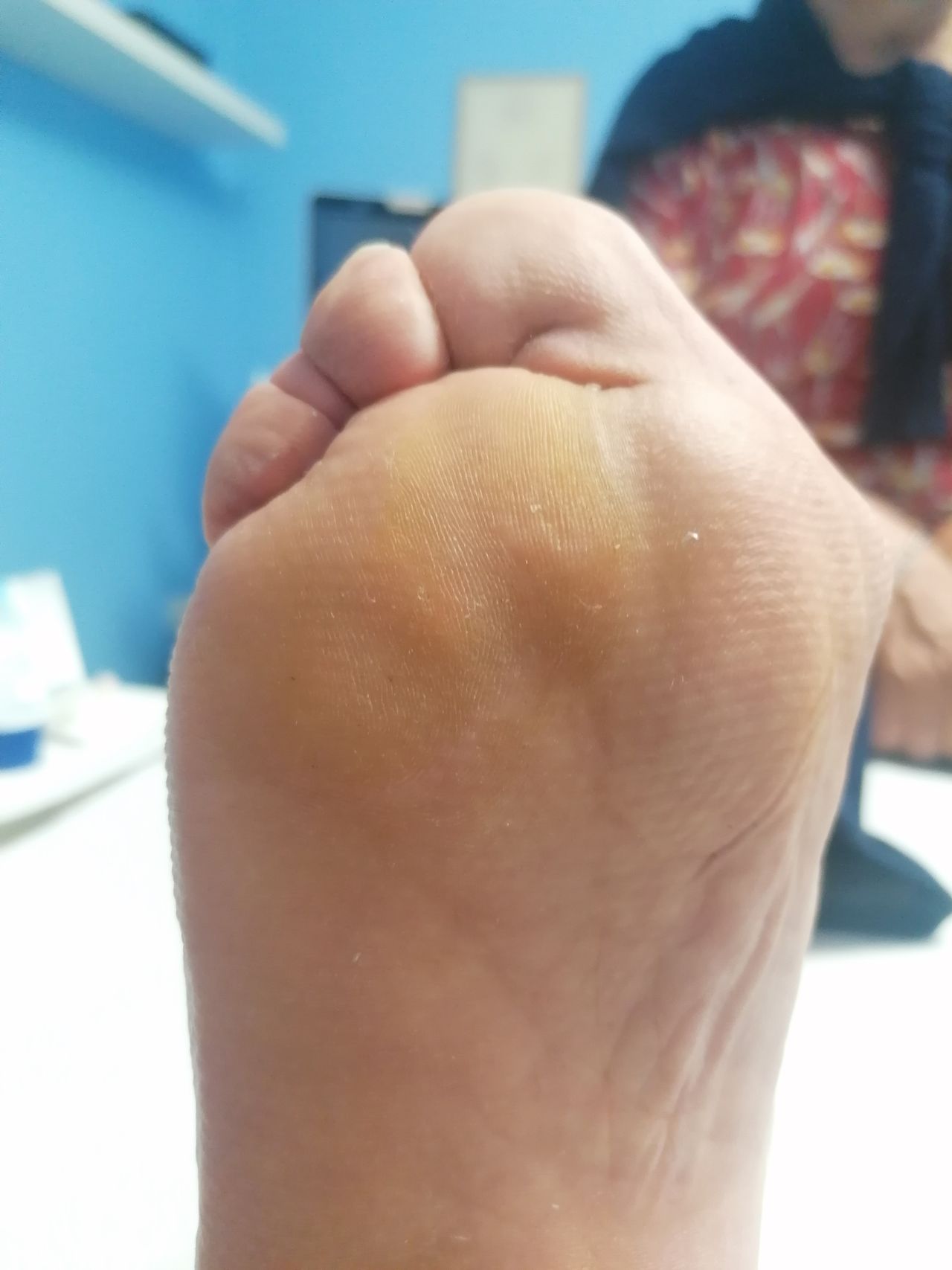 Kassandra Nicolosi-292