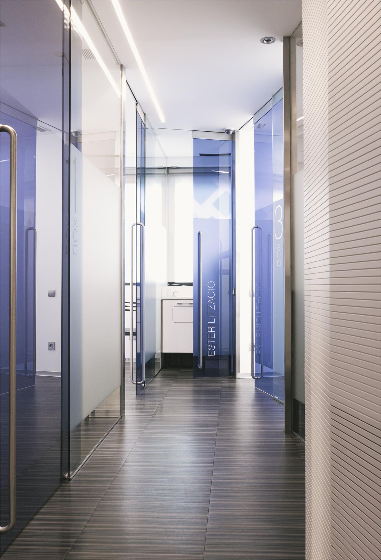 Cintia Rubio Andújar-0