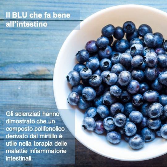 Ruggiero Francavilla-2