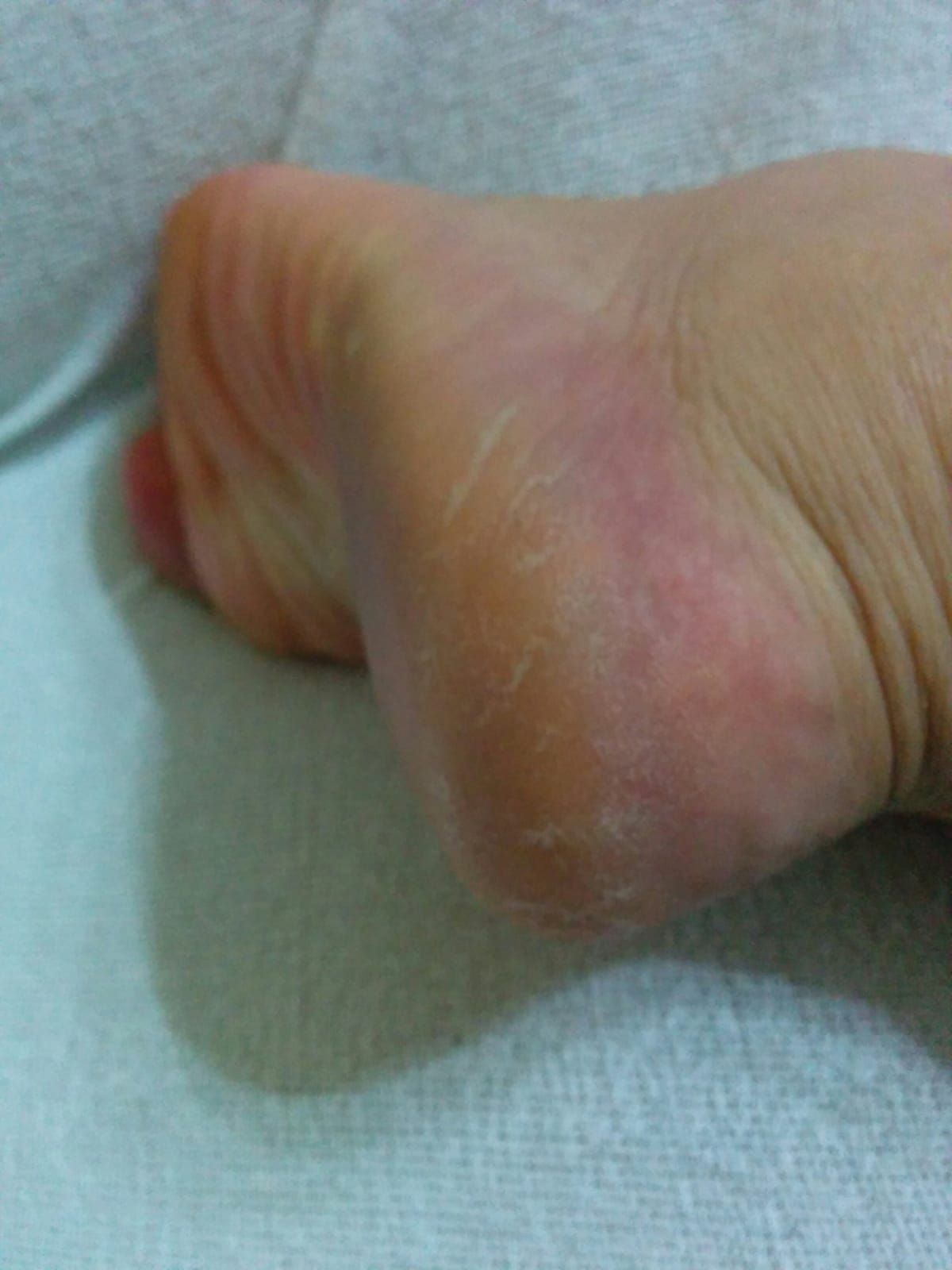 Kassandra Nicolosi-87