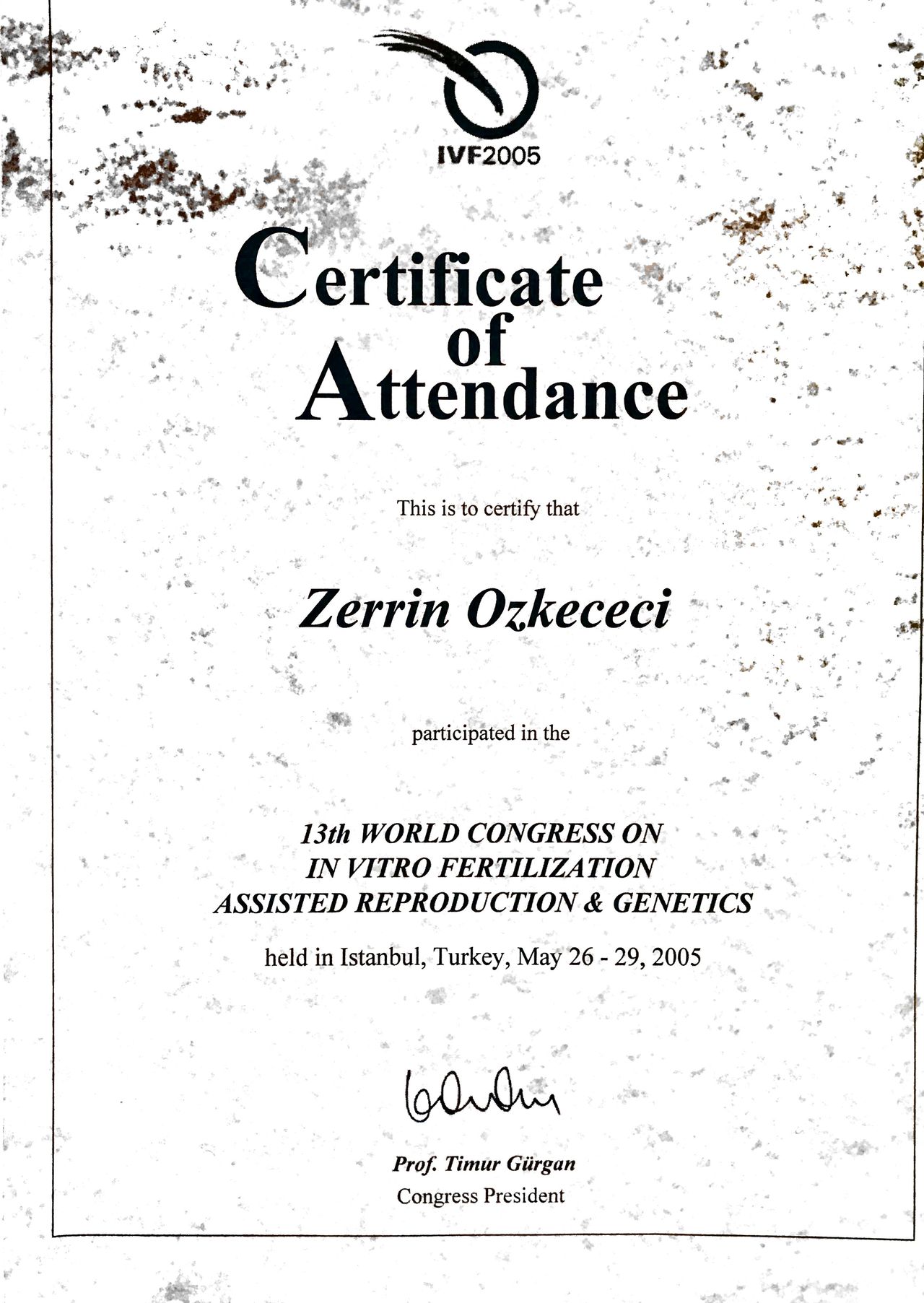 Zerrin Özkeçeci-17