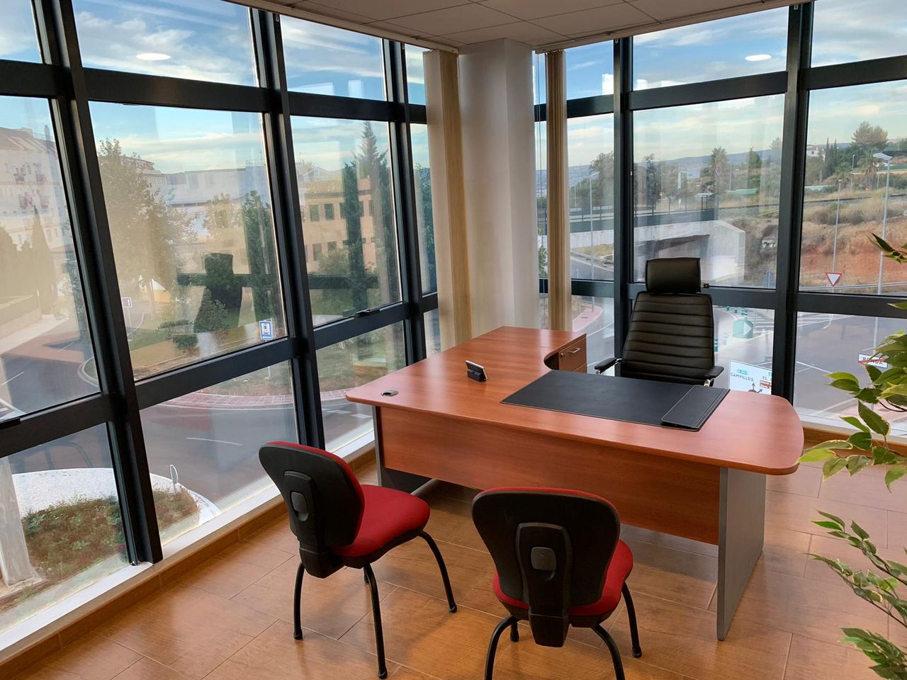 Rodolfo De Porras De Abreu-19