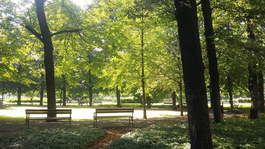 Michał Szczepański-4