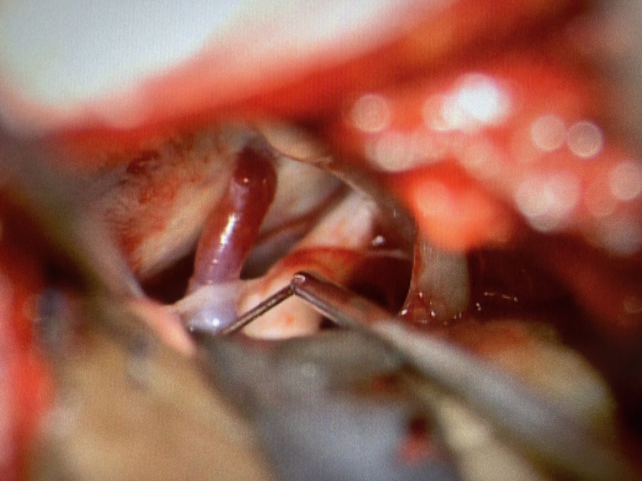 Jarosław Andrychowski-59