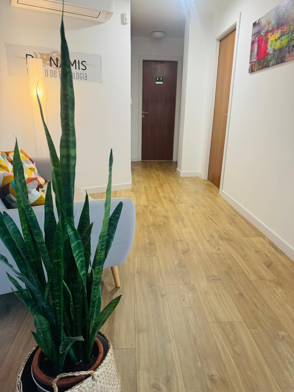 Leticia Calle Bolivar-18