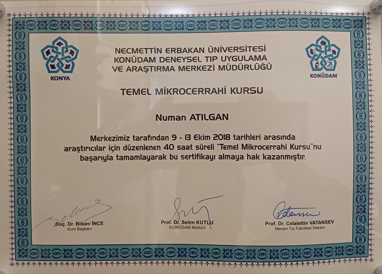 Numan Atılgan-16