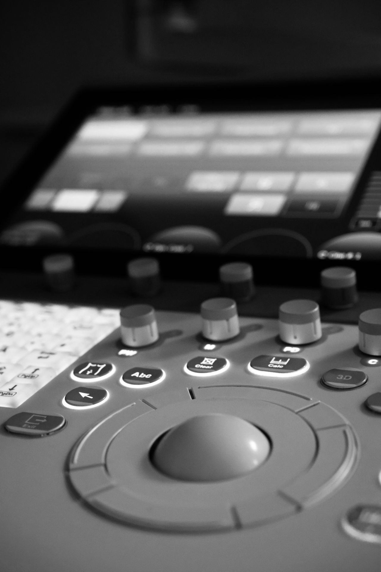 Katarzyna Wiśniewska-1