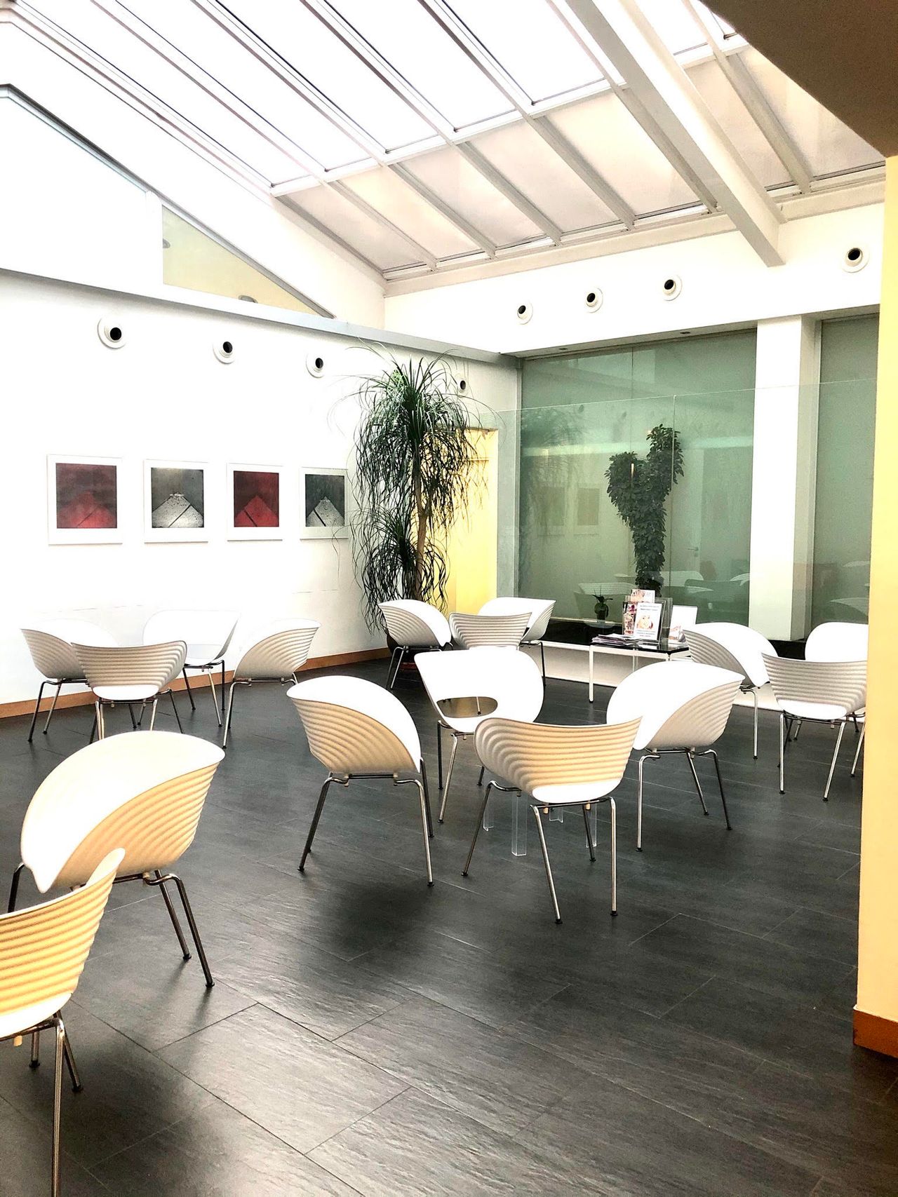 Gracia Alonso Rosales-3