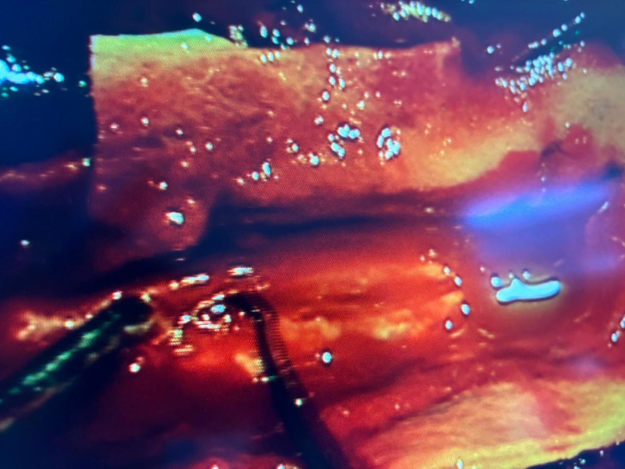 Domenico Martiniello-14