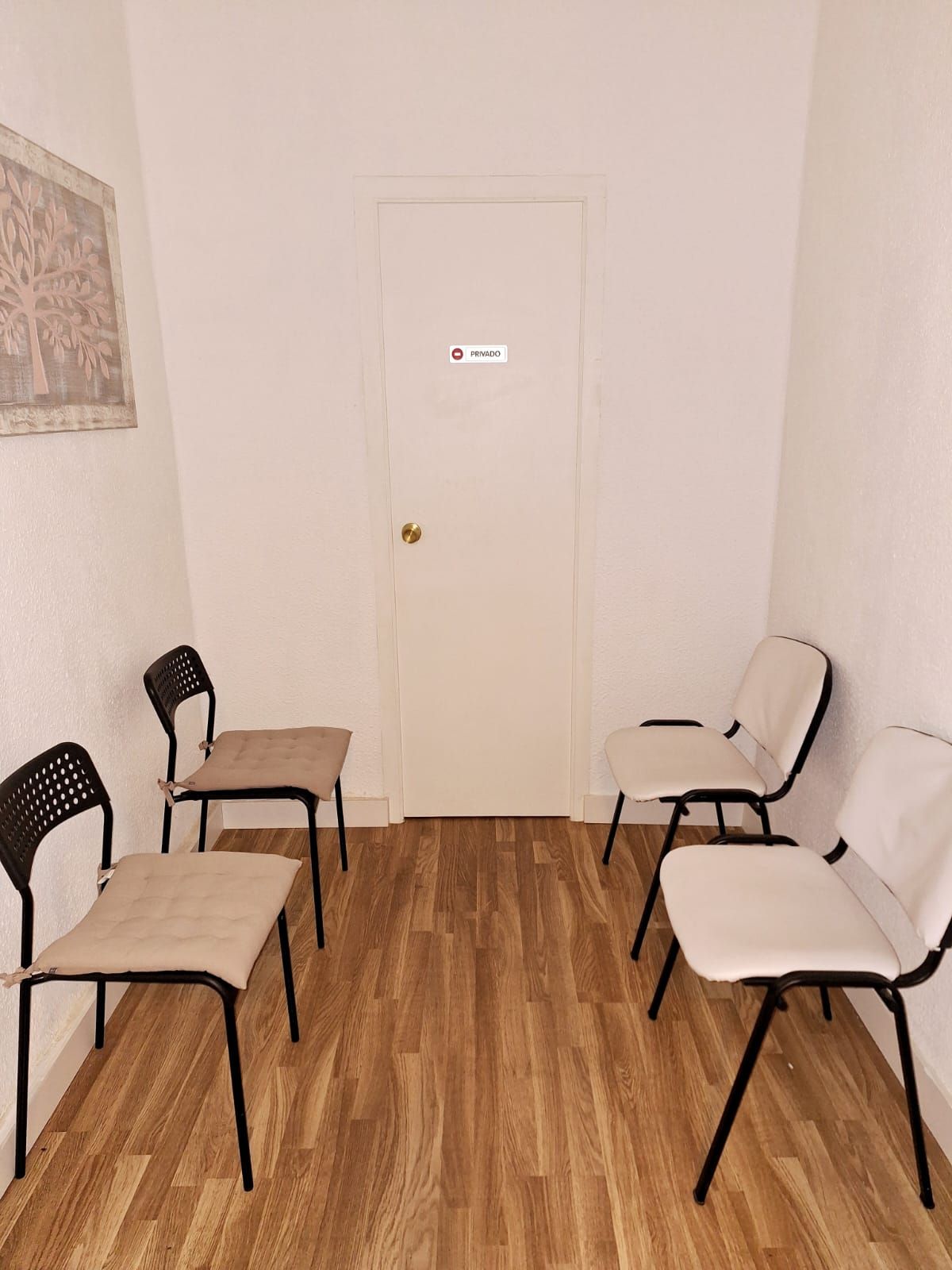 Mª Luisa Bresó Safont-8