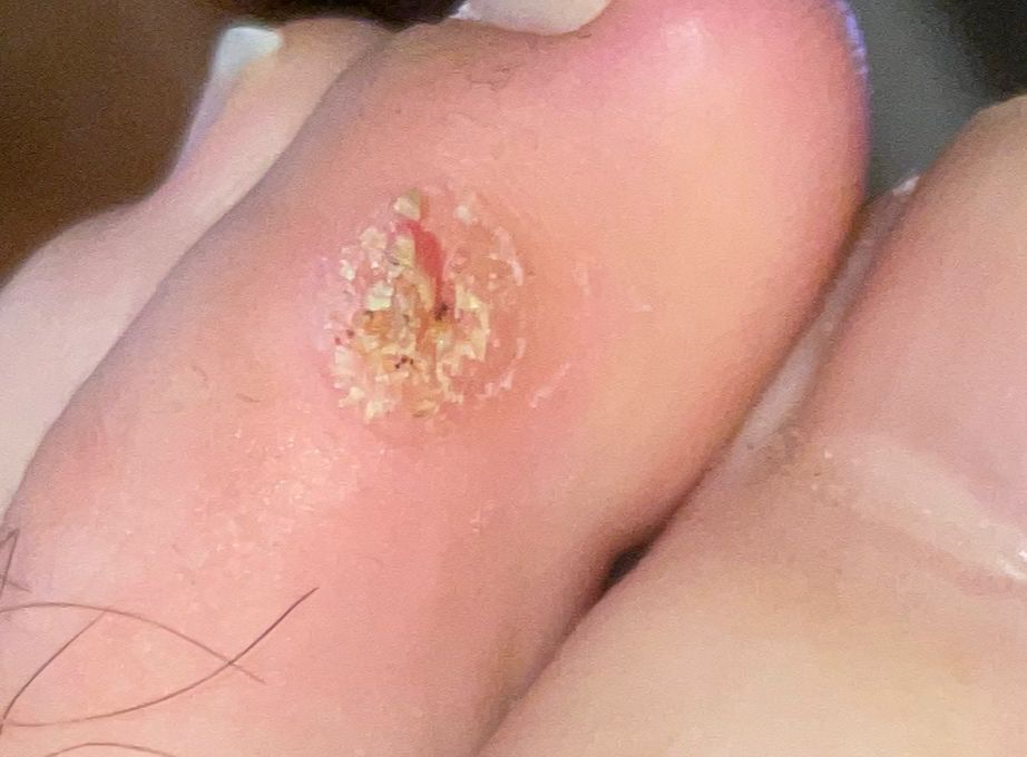 Kassandra Nicolosi-202