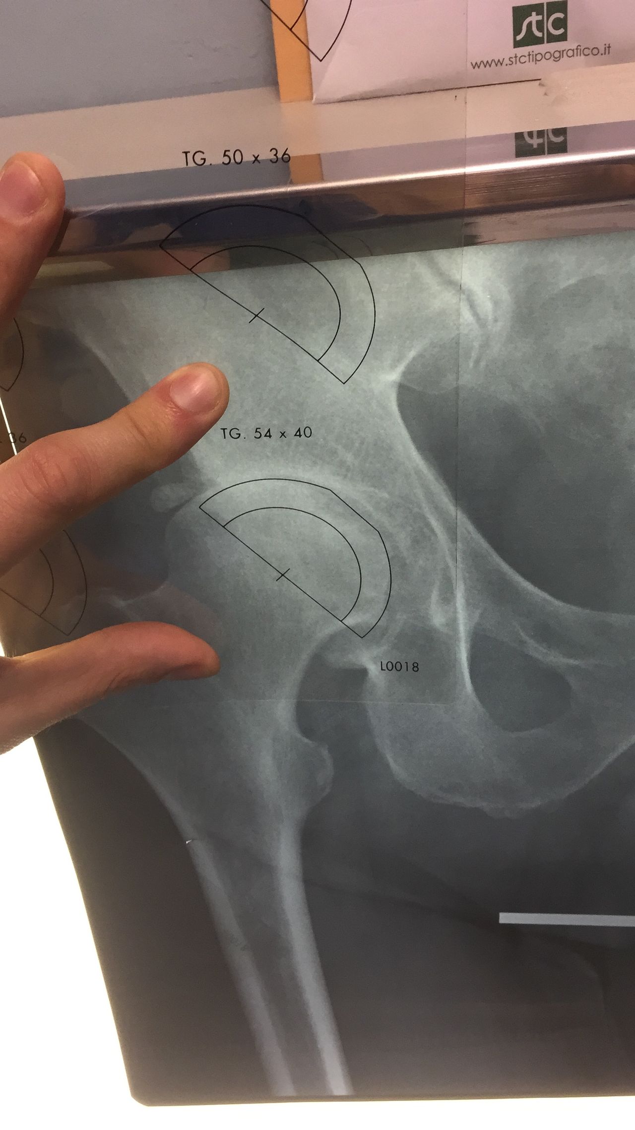 Alessandro Macchiavello-0