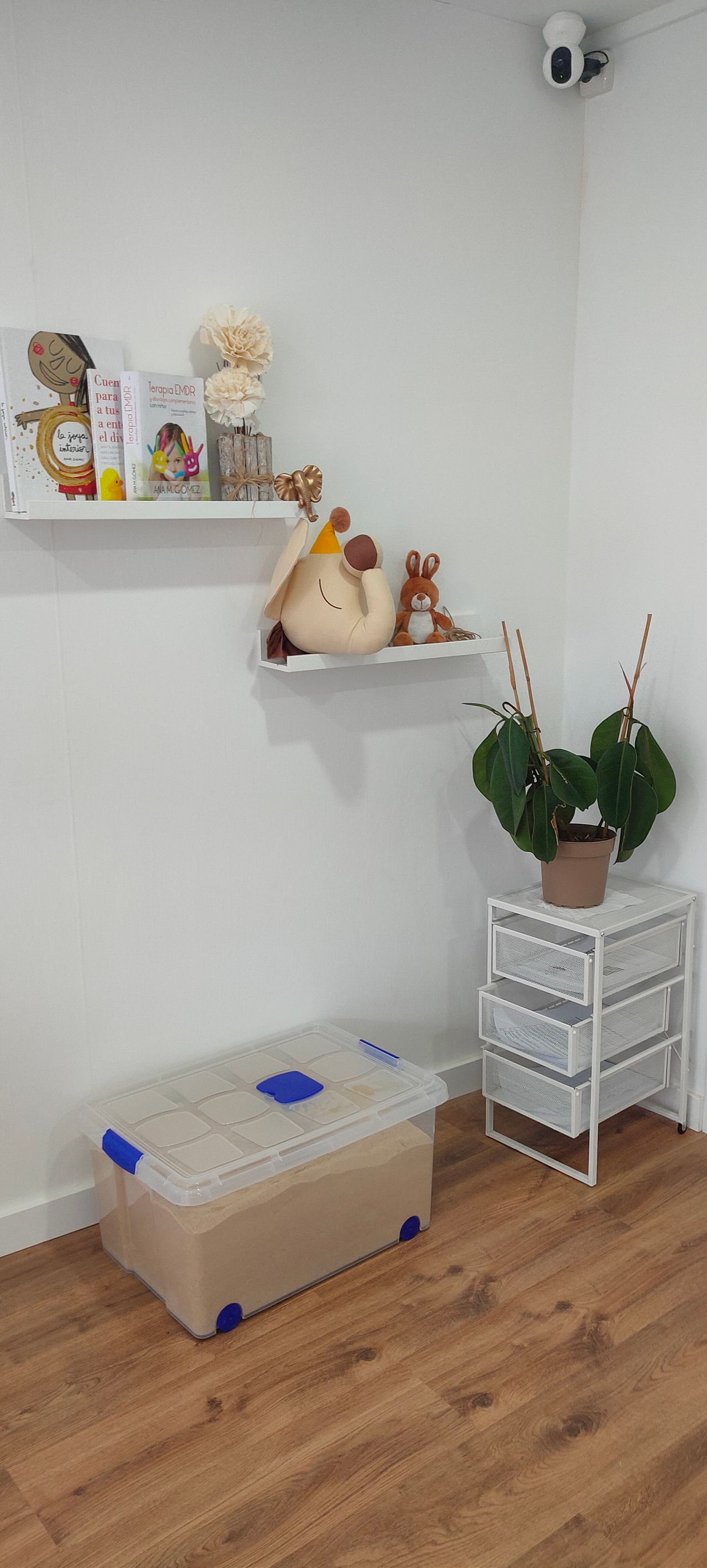 Desireé Pombar Añón-4