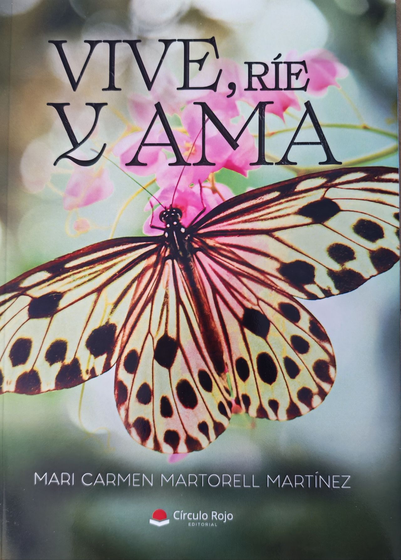 Mari Carmen Martorell Martínez-5