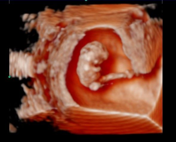 Francesca Letizia Vellucci-1