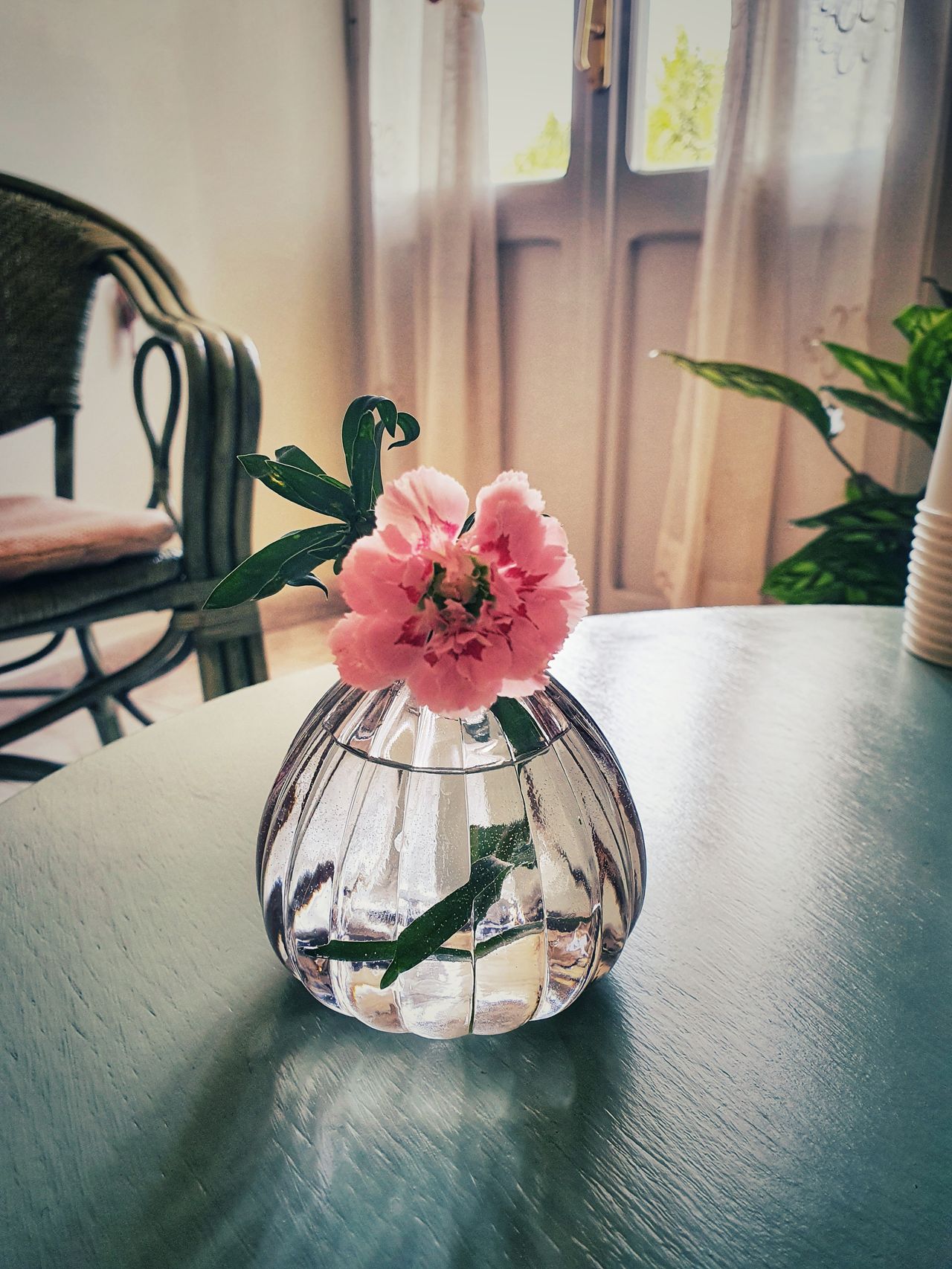 Alessandra Ciriaci-1