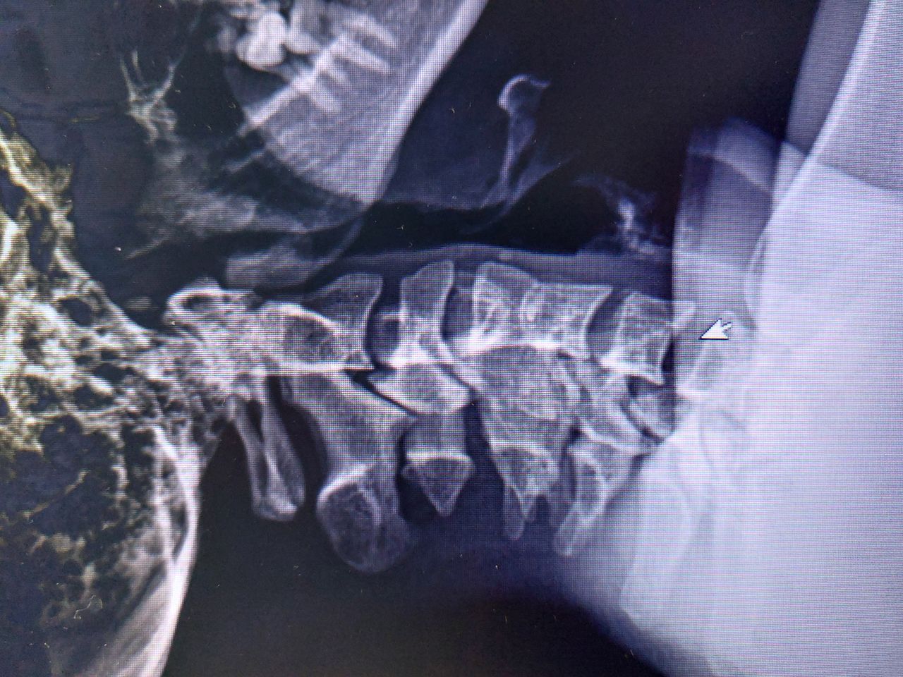 Giovanni Di Punzio-0