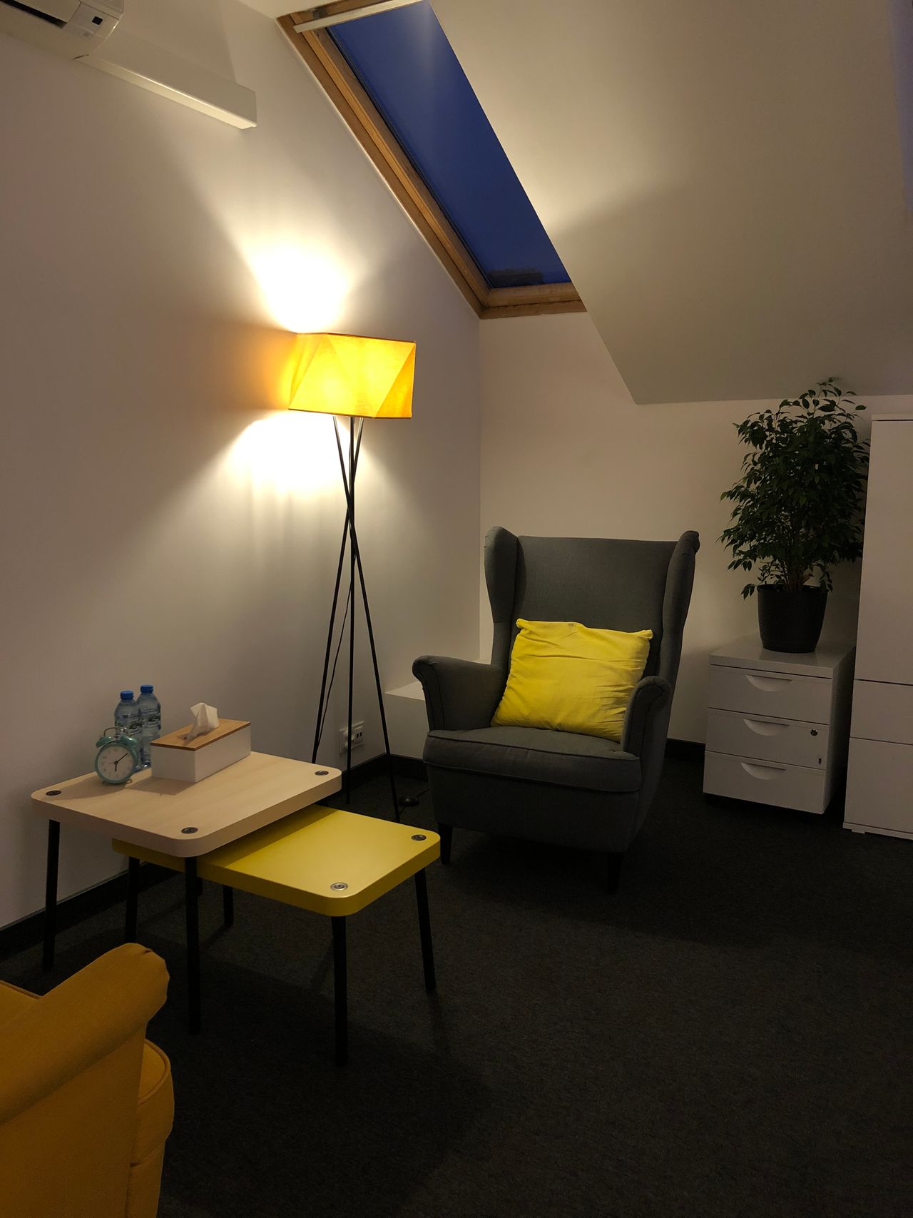 Agnieszka Małachowska-1