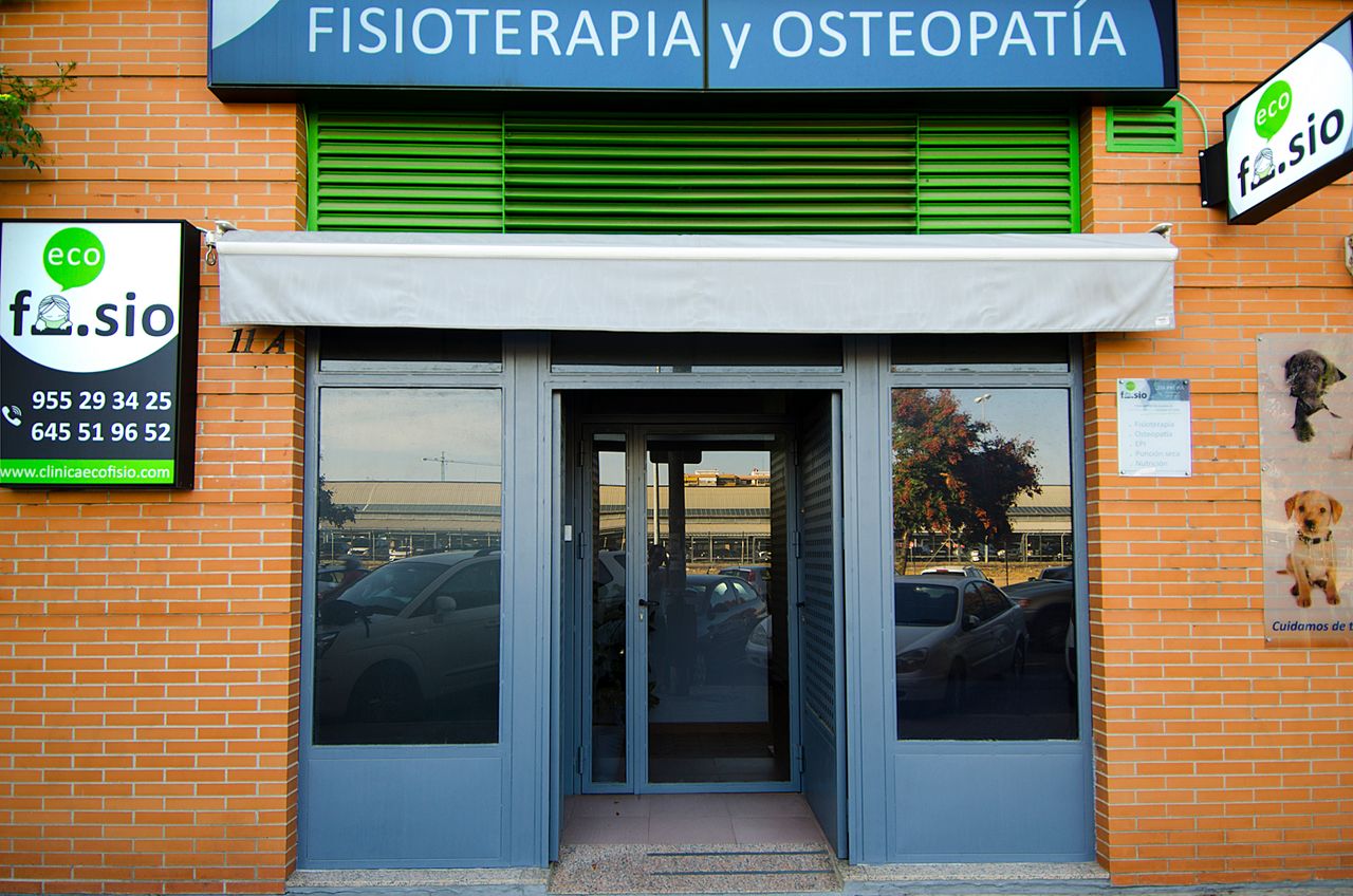 María Jaén Arenas-6