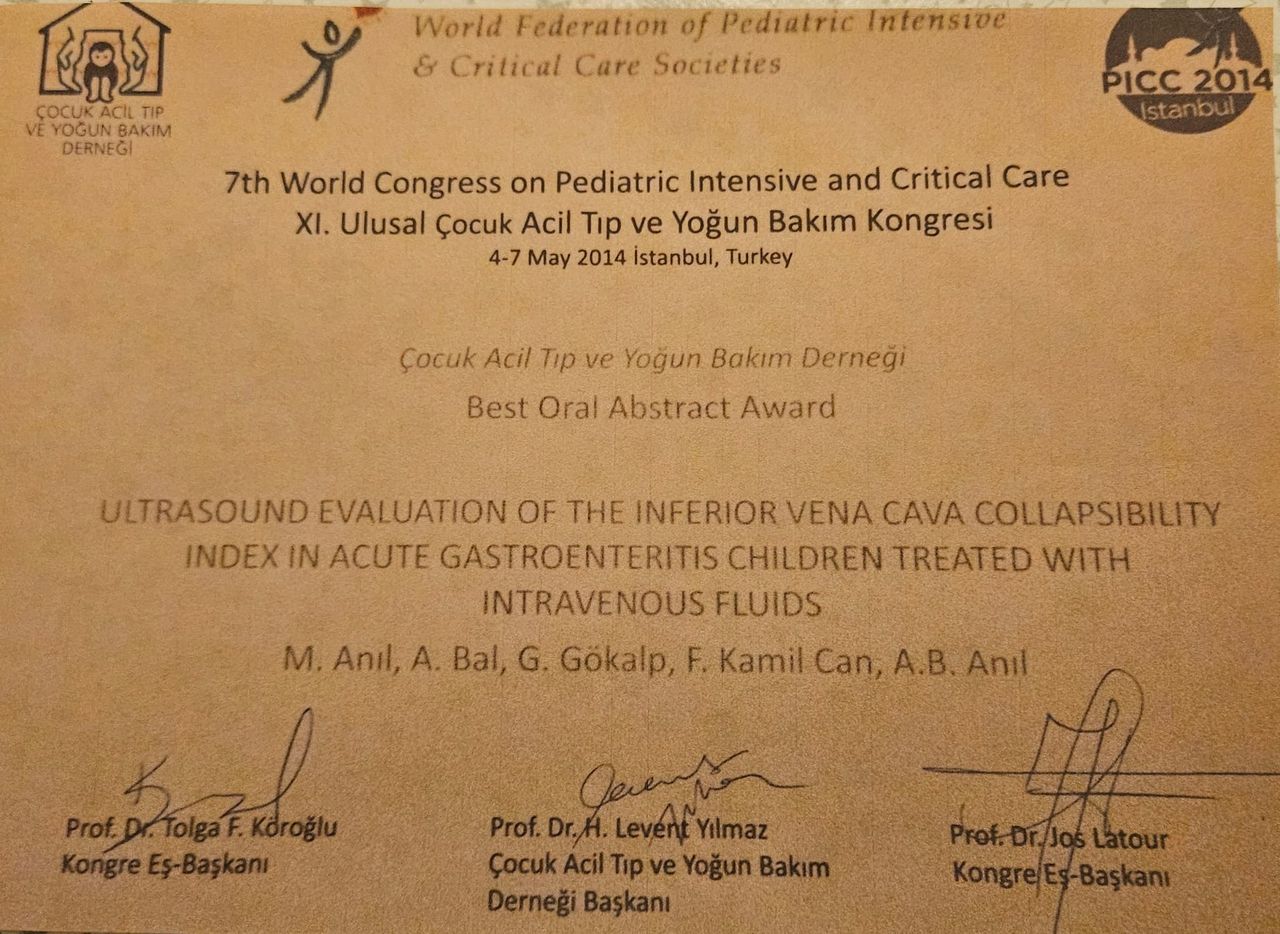 Ayşe Berna Anıl-36