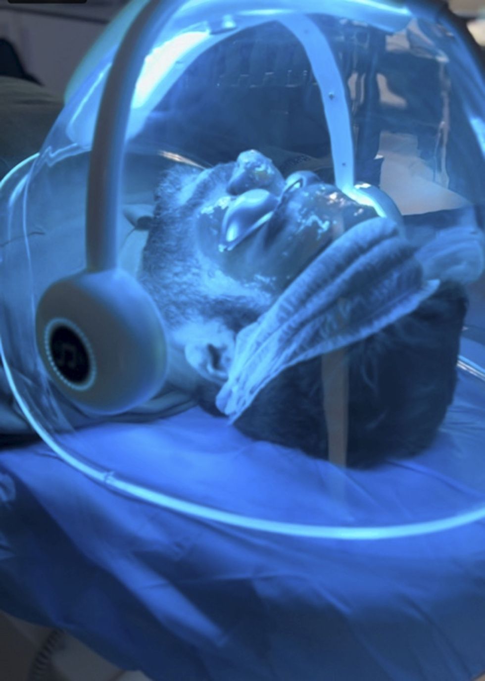 Victoria Trasmonte-78