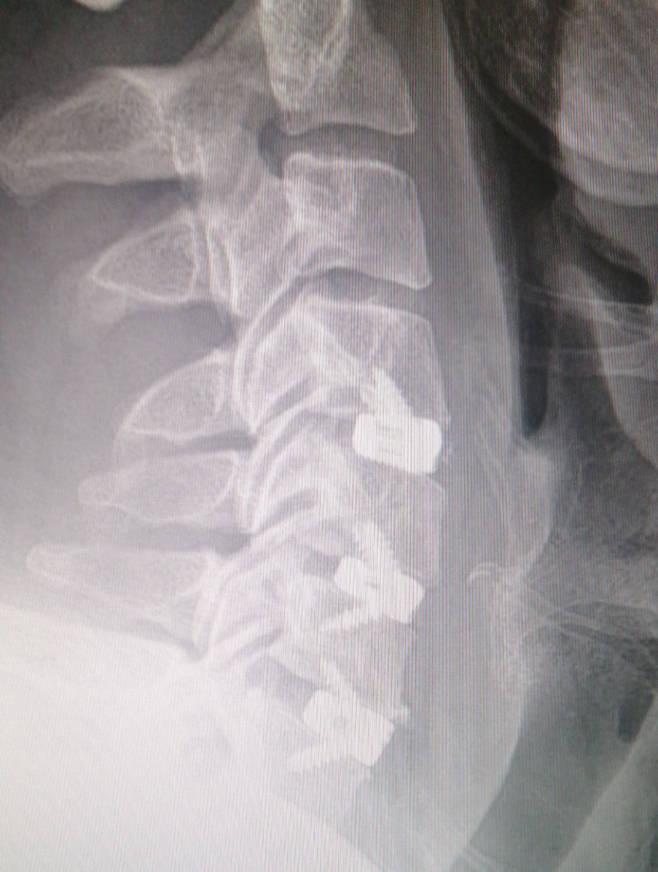 Alessandro Rapisarda-18