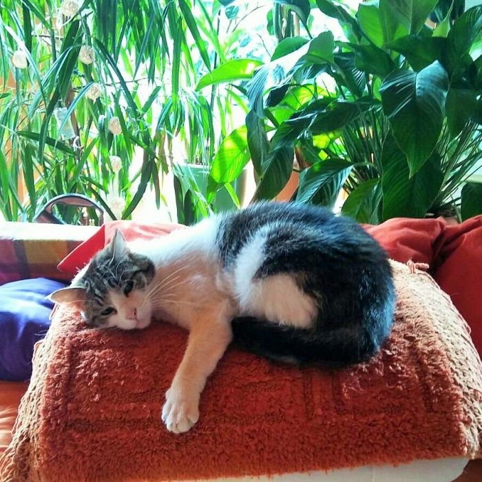 Dagmar Mann-Friederich-1