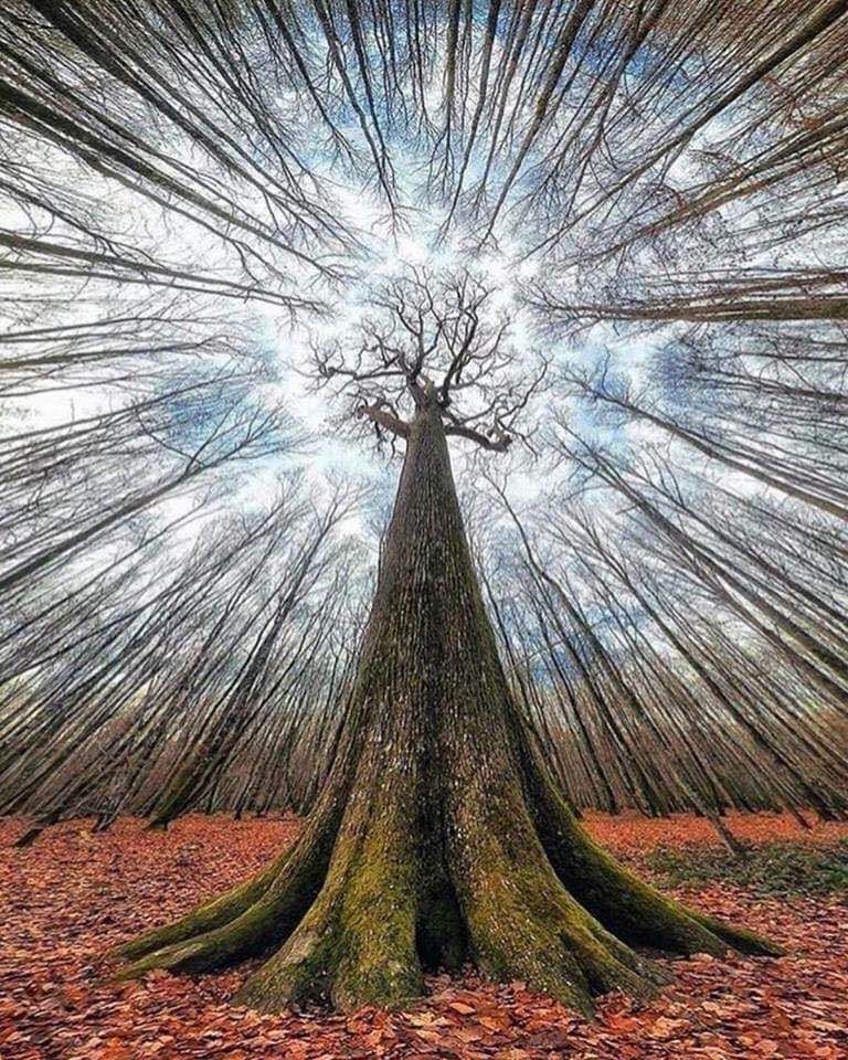 Francesco Sonzogni-52