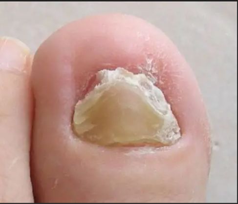 Francesca Montaquila-12