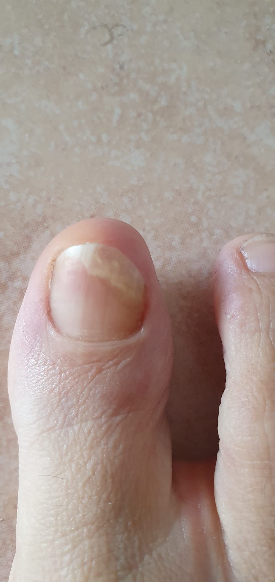 Kassandra Nicolosi-57