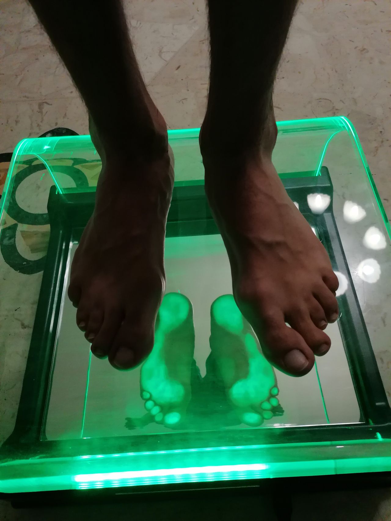 Kassandra Nicolosi-244