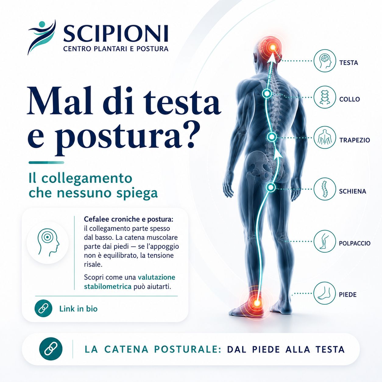 Cristina Scipioni-6