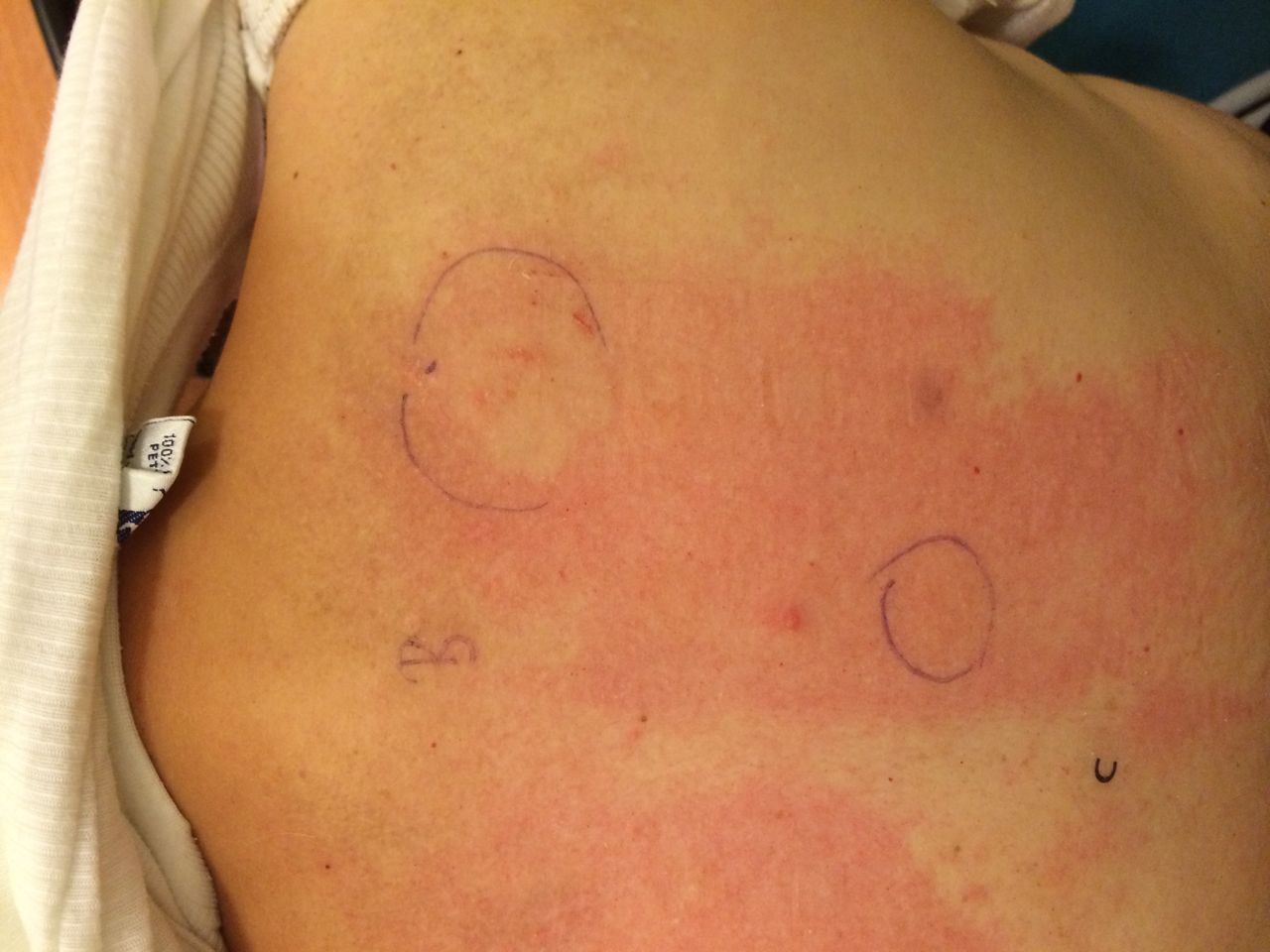 Maria Stefania Leto Barone-9