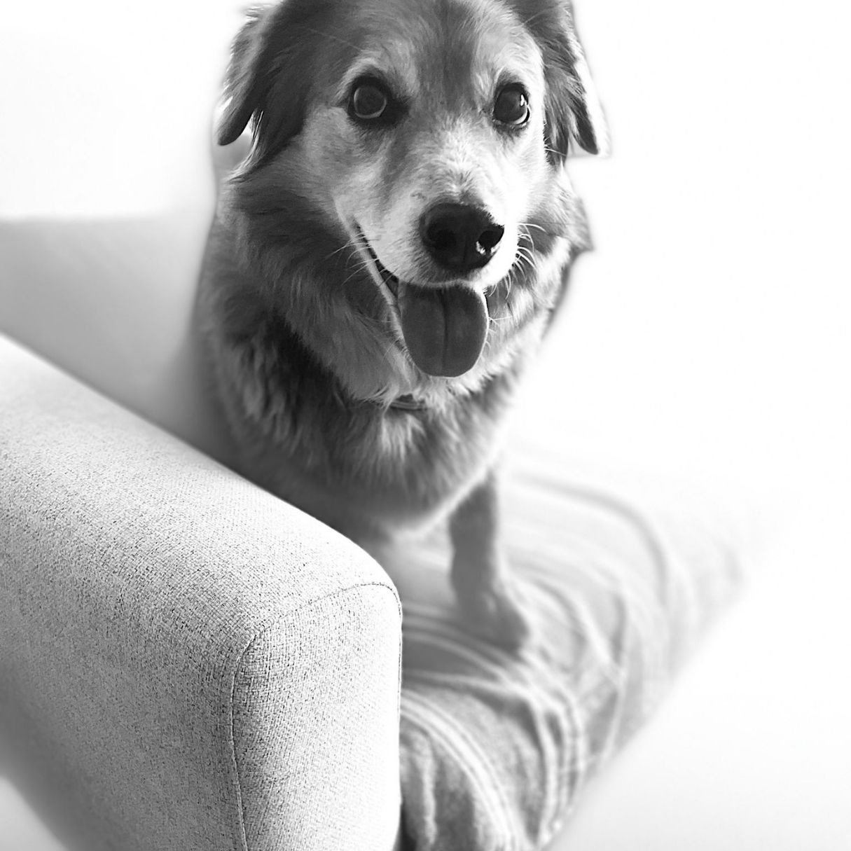 Patricia Gutiérrez Isla-3