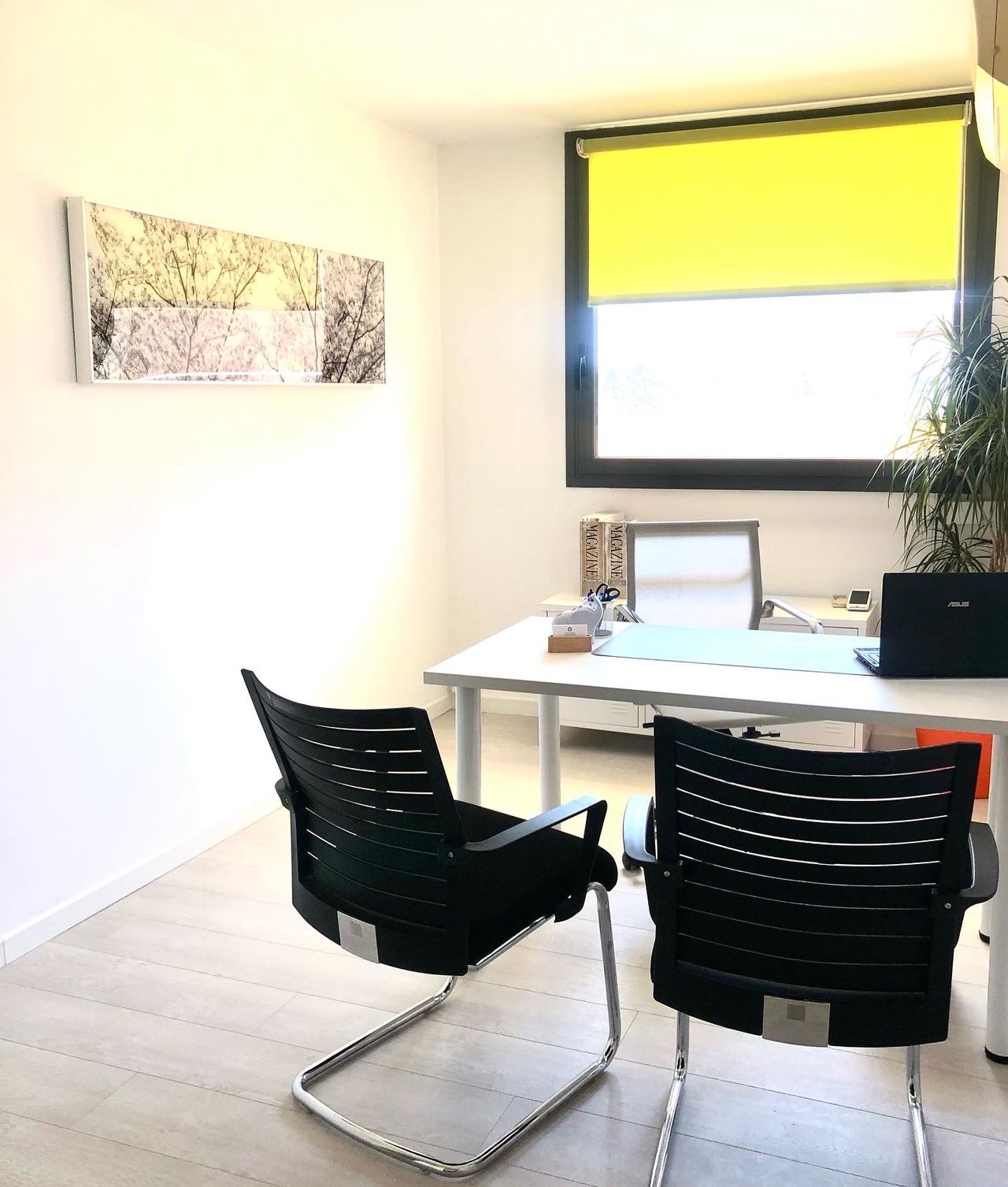 Xènia Rodríguez Cifuentes-2