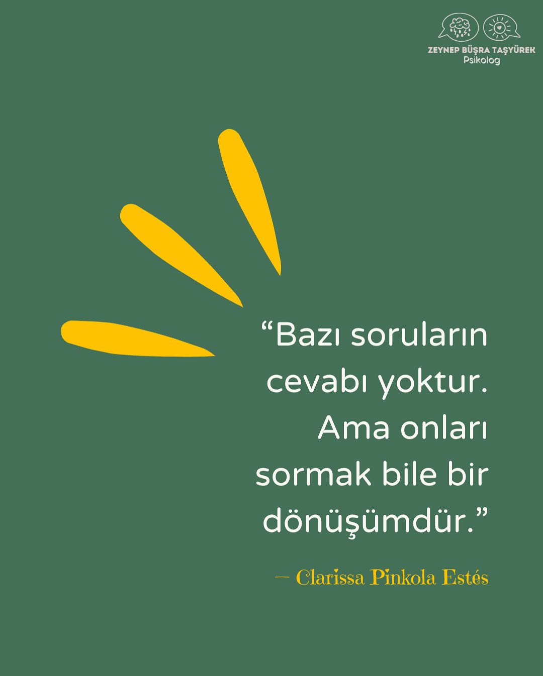 Zeynep Büşra Taşyürek-14