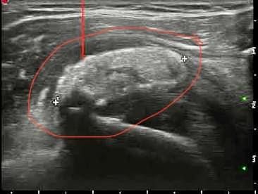 Maria Chiara Morgano-6