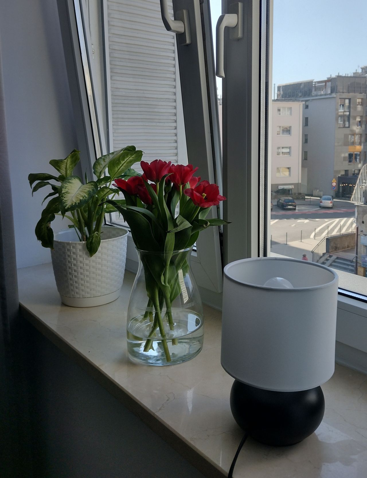 Agnieszka Lisiecka-1