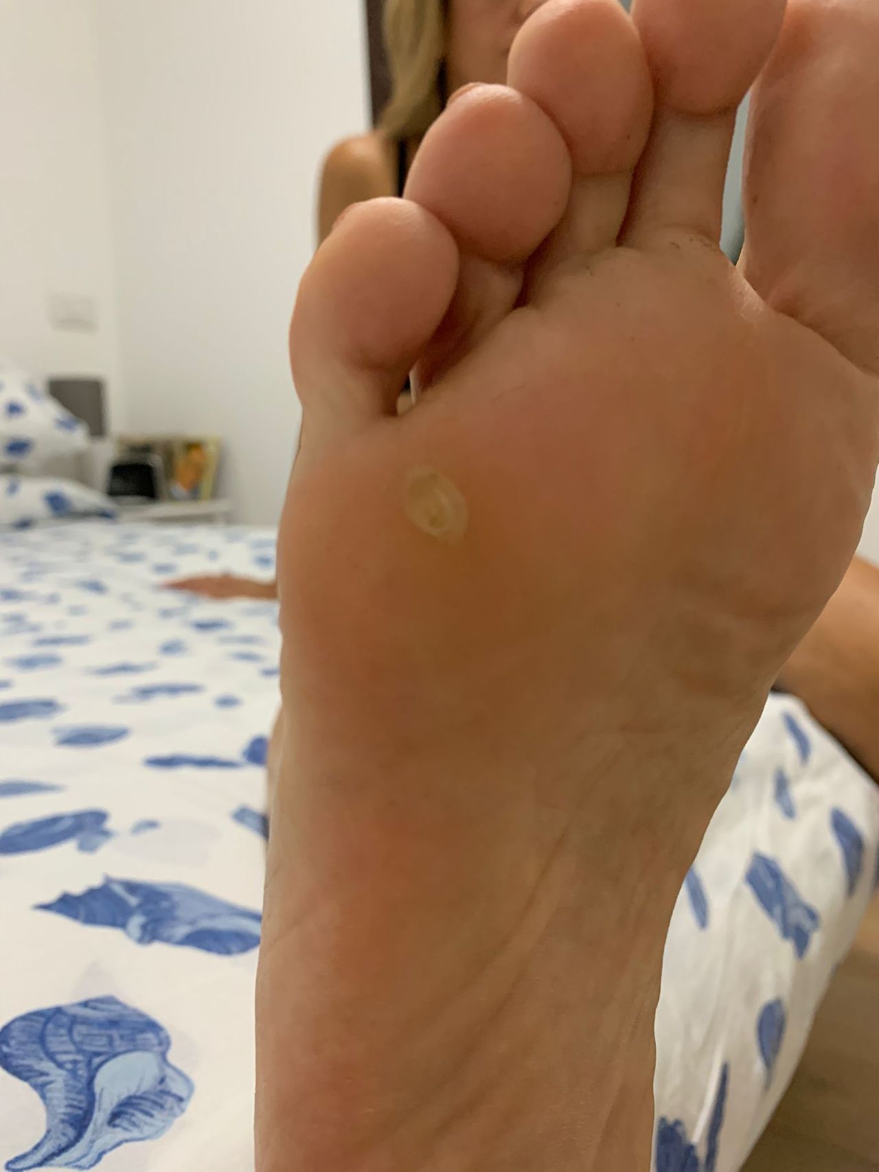 Kassandra Nicolosi-219