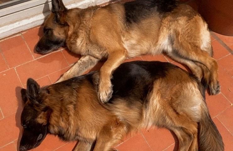 Mertxe Fernández Rodrigo-7