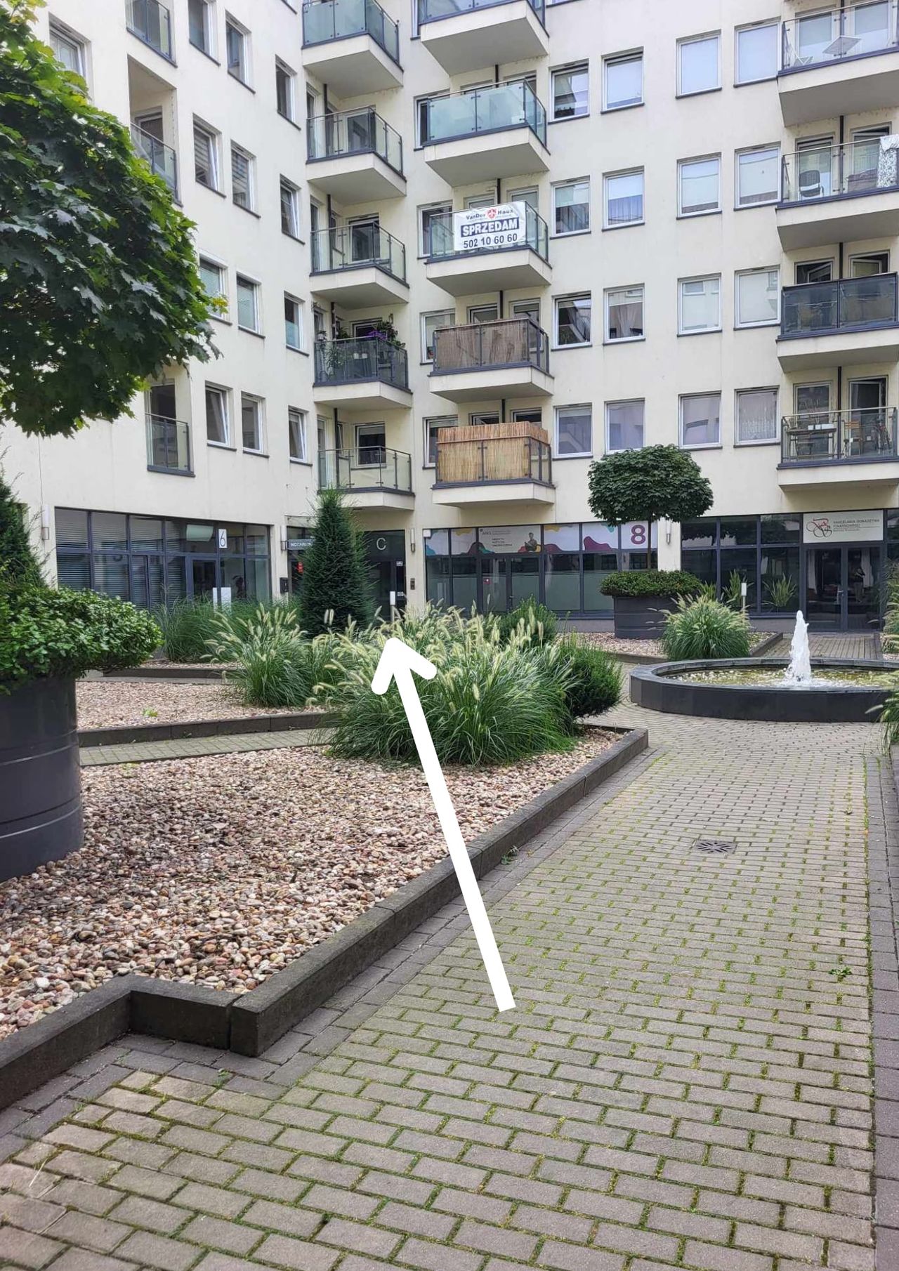 Weronika Rogozińska-8