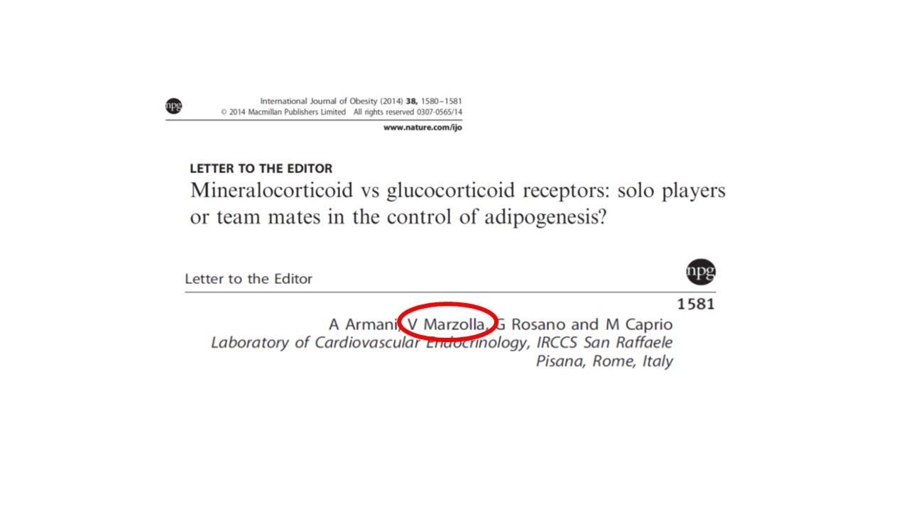 Vincenzo Marzolla-31