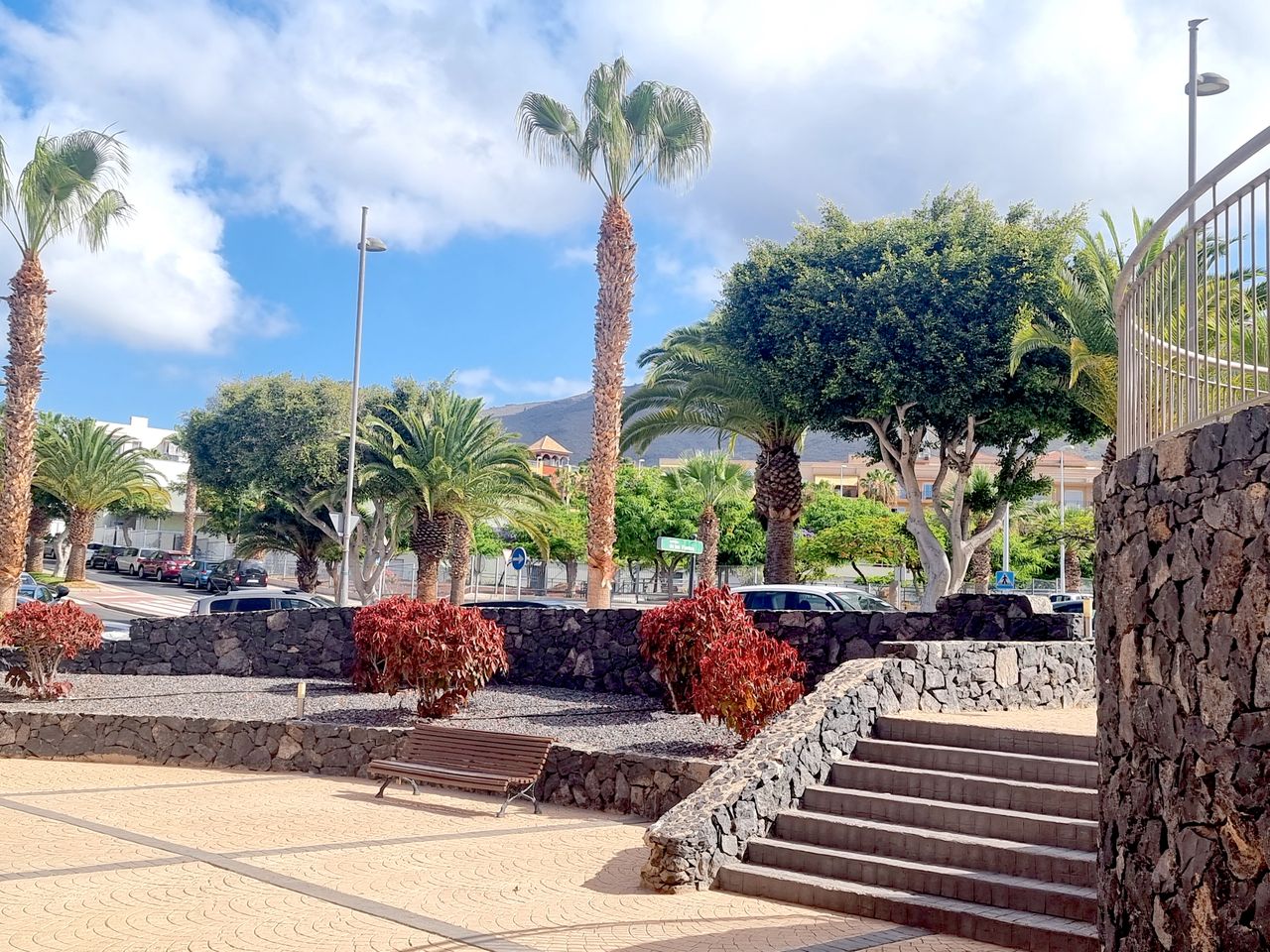 Gina Ciancaglini Zimmermann-0