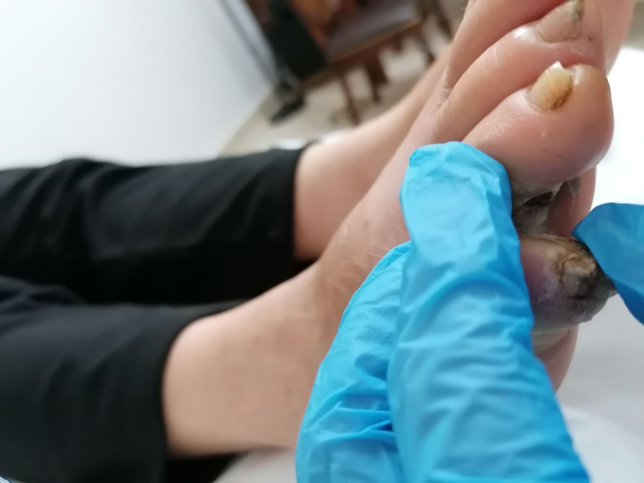 Kassandra Nicolosi-301