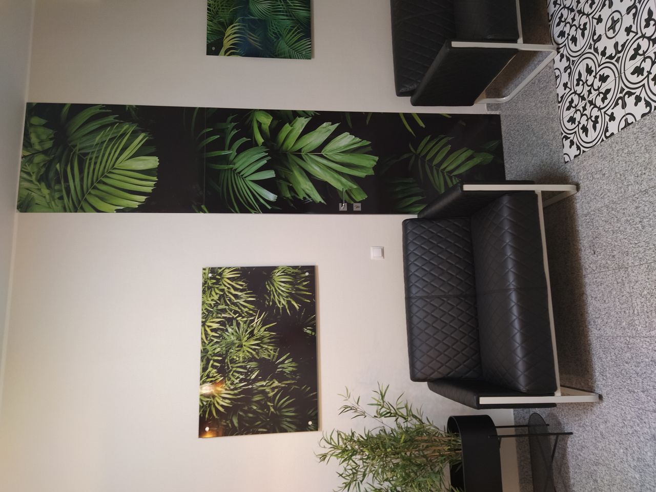 Dorota Brudzikowska-5