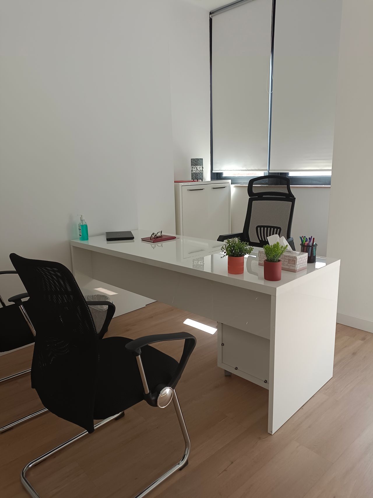 Carmen Baquedano Bellot-2