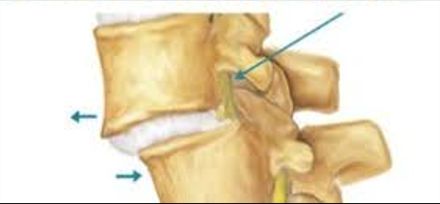 Alessandra Isidori-7