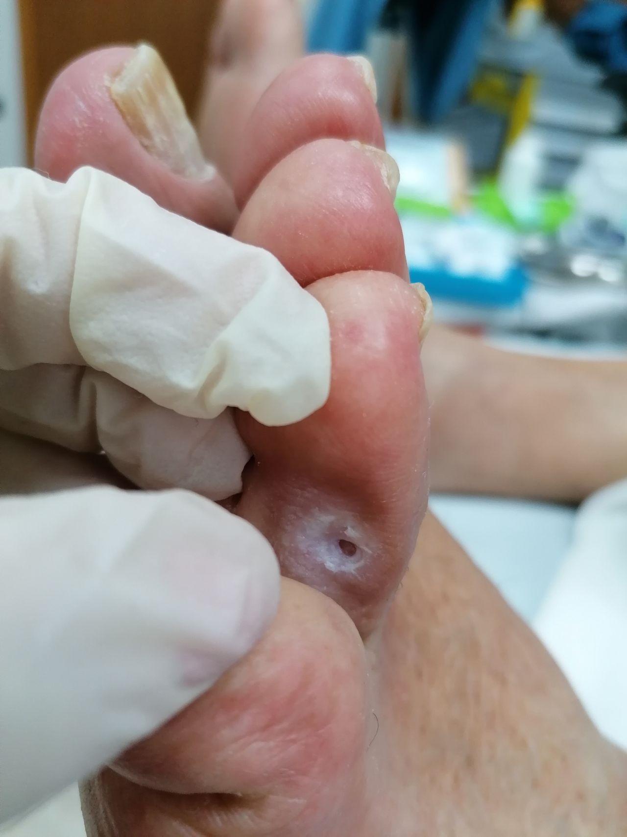 Kassandra Nicolosi-253