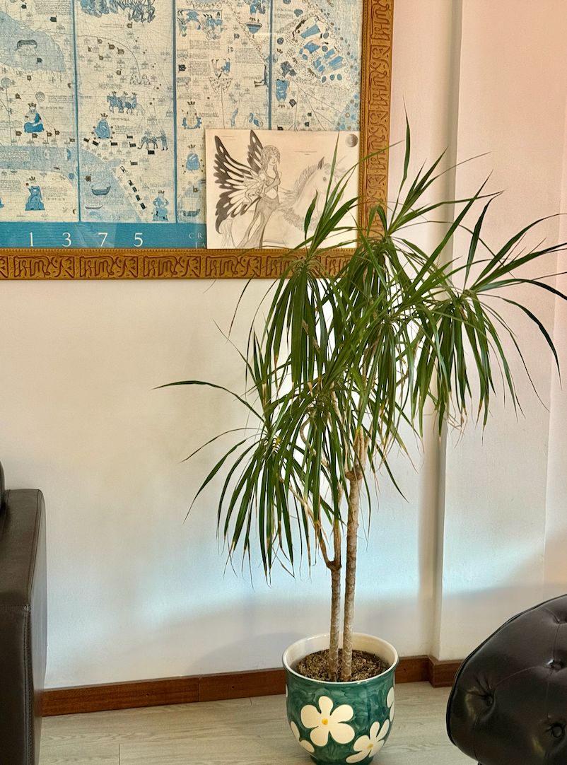 Elisa Losantos Salvador-4