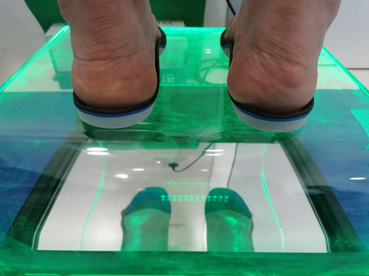 Kassandra Nicolosi-86